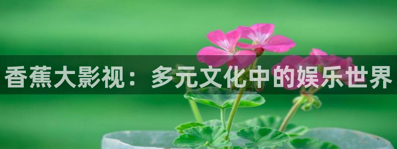 可可影视官网入口网页版